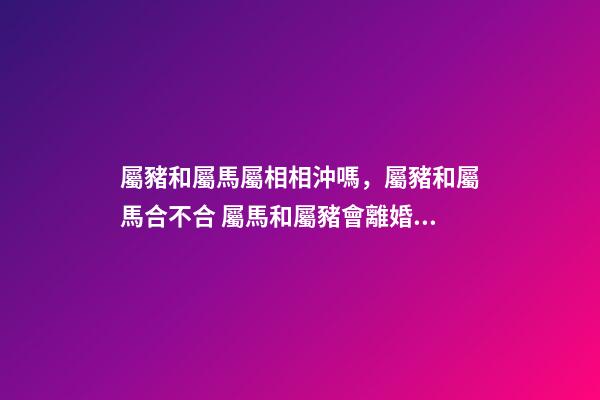 屬豬和屬馬屬相相沖嗎，屬豬和屬馬合不合 屬馬和屬豬會離婚嗎-第1張-觀點-玄機派